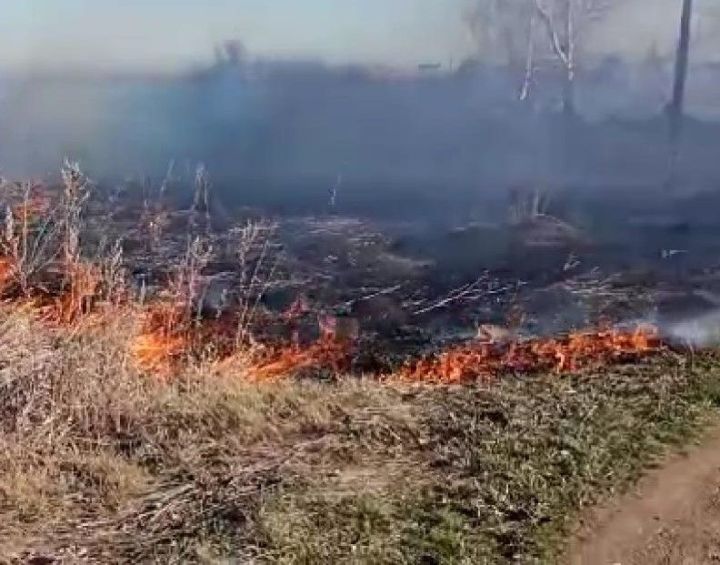 За неделю чистопольские пожарные 5 раз выезжали тушить горевшую сухую траву