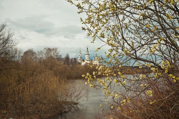 Вербное Воскресенье: значение и традиции праздника