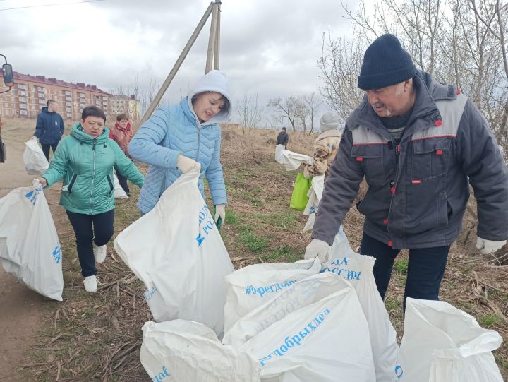 С прибрежной зоны в микрорайоне мебельной фабрики чистопольцы собрали более 70 мешков мусора (фоторепортаж)