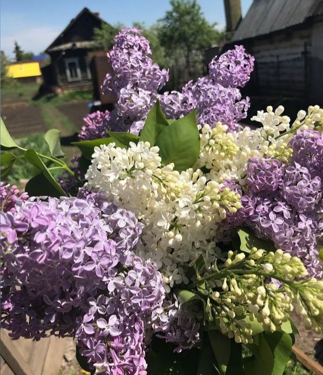 6 июня: Чем знаменателен день