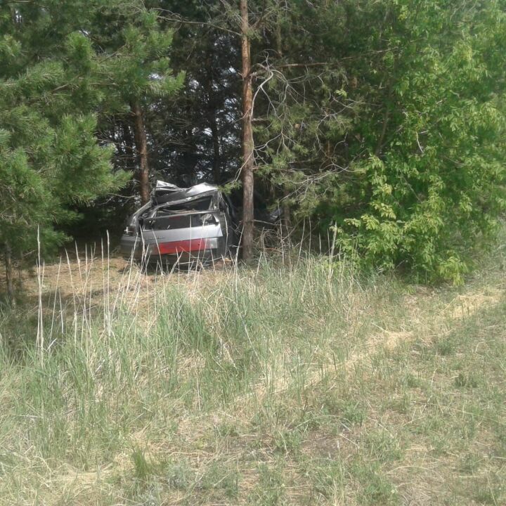 В Татарстане  легковушка врезалась в лошадь, погибли 3 человека