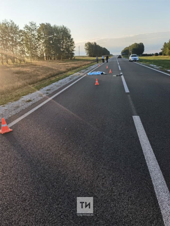 В Дрожжановском районе в смертельном ДТП погибла супружеская пара