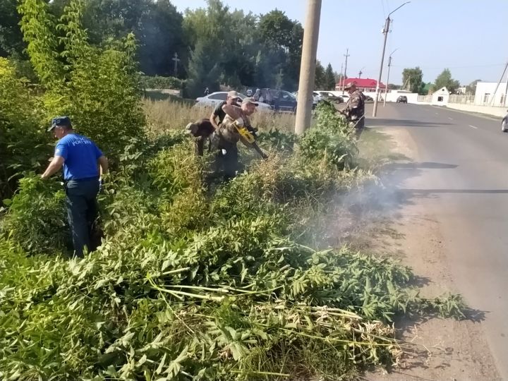 В Чистополе привели в порядок территорию рядом с Авдеевским кладбищем