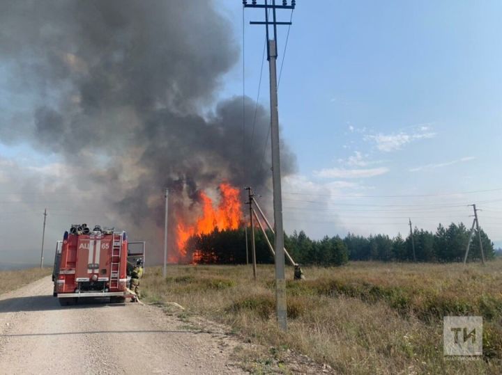 На границе двух районов РТ произошел лесной пожар