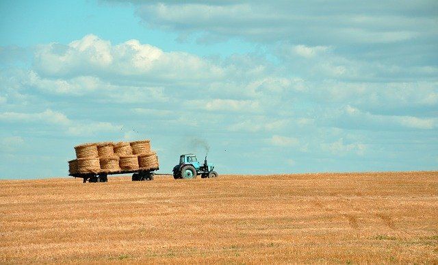 В селе Аппаково 7-летний мальчик погиб под колесами трактора