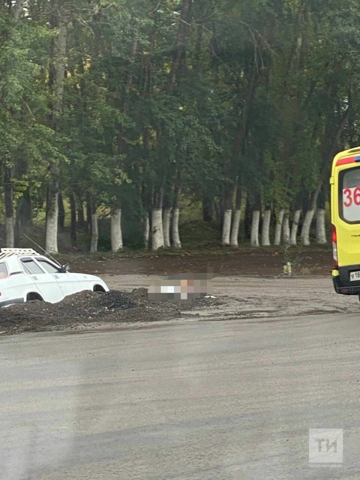 В РТ водитель легковушки скончался  за рулем