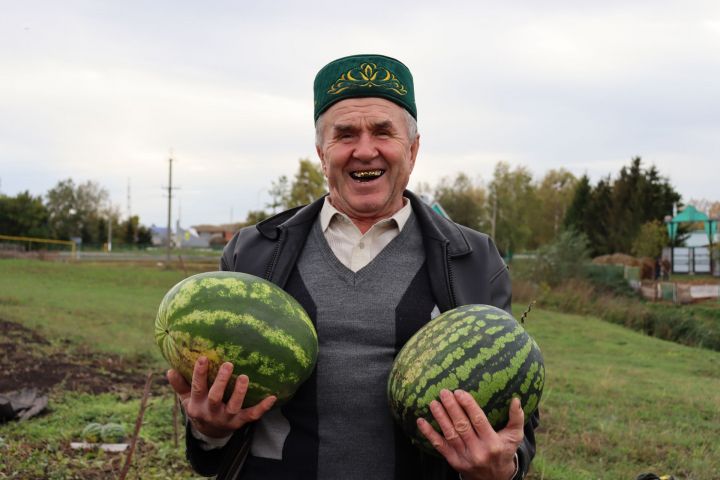 Житель Чистопольского района Азат Габитов: «Все делаю от души!»