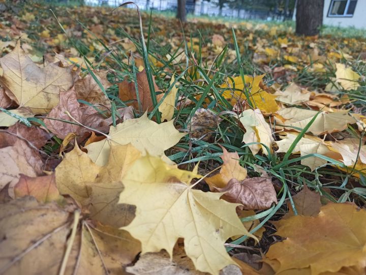 Чистополь в осенних красках (фоторепортаж)