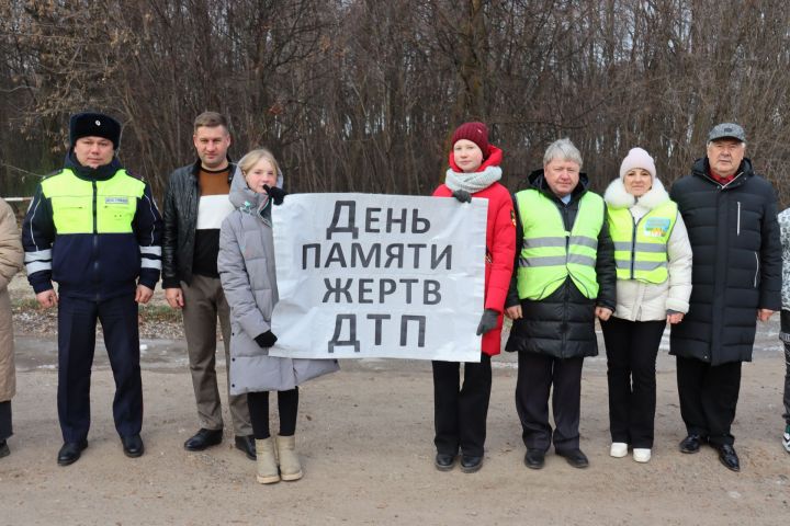 В Чистополе дети с плакатами вышли на улицы города и призвали всех соблюдать правила дорожного движения