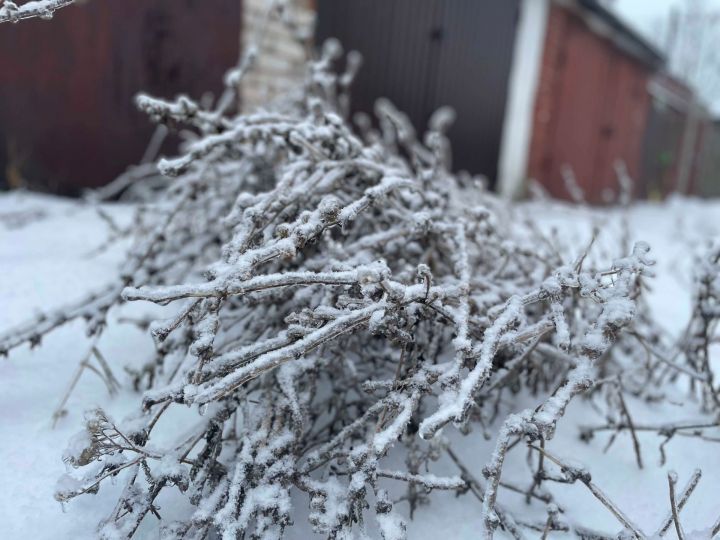 30 ноября: Чем знаменателен день