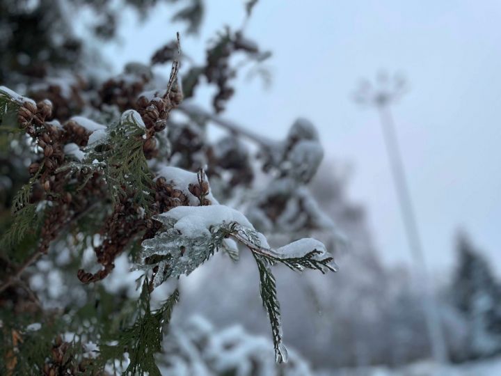 4 декабря: Чем знаменателен день