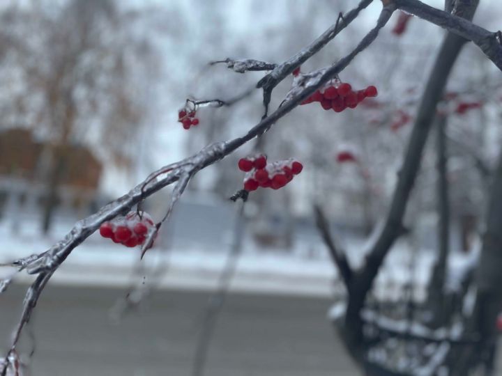 8 декабря: Чем знаменателен день