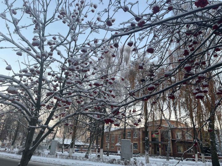 10 декабря: Чем знаменателен день