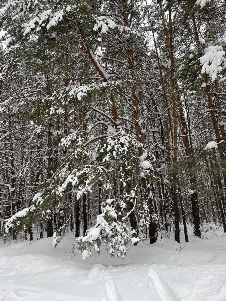 19 февраля: Чем знаменателен день