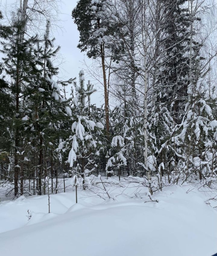 20 февраля: Чем знаменателен день