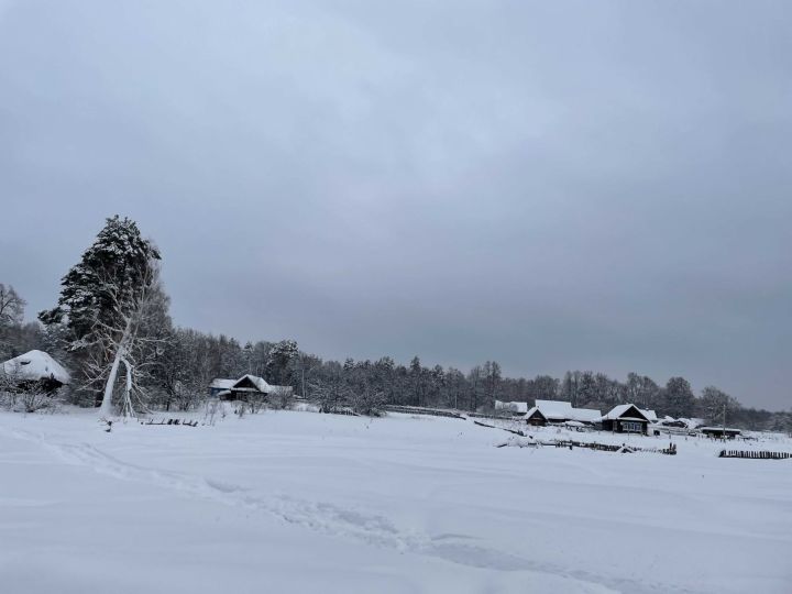 25 февраля: Чем знаменателен день