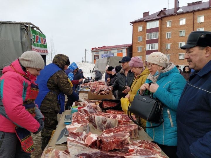 В Чистополе прошла первая весенняя сельскохозяйственная ярмарка