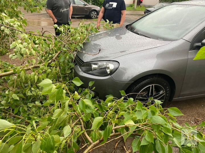 В МЧС РТ рассказали о последствиях штормового ветра