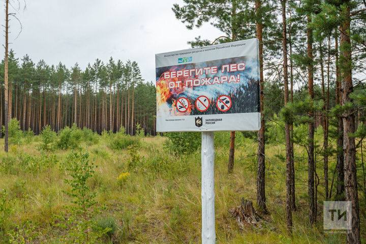 В лесах РТ до конца этой недели сохранится пожароопасная обстановка