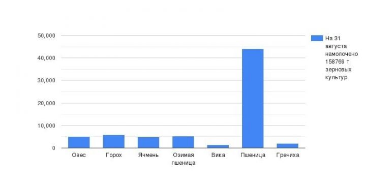 В Чистопольском районе убрано более 90 процентов зернового клина