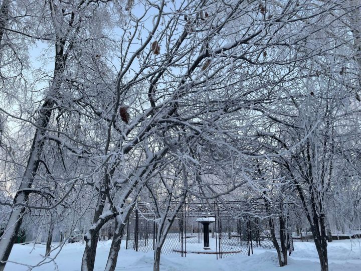 Какая погода ожидает чистопольцев 12 января