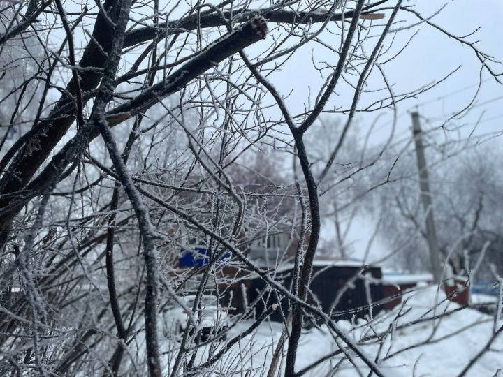 В РТ прогнозируется умеренно-морозная погода