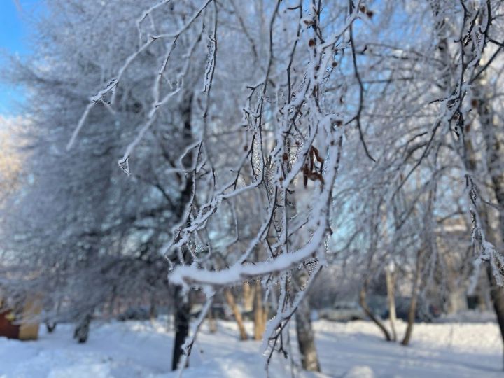 Какая погода ждет чистопольцев 26 января