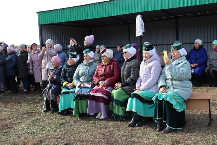 В Чистопольском районе обустроили родник « Таш чишмэ» (Фоторепортаж)