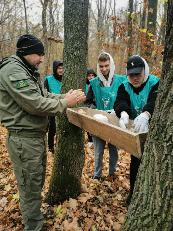 Чистопольские школьники открыли в лесу «столовую» для животных