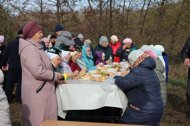 В Чистопольском районе обустроили родник « Таш чишмэ» (Фоторепортаж)