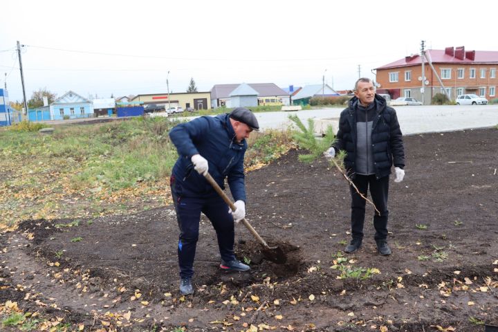 В новом сквере в Чистополе посадили около 70 молодых сосен