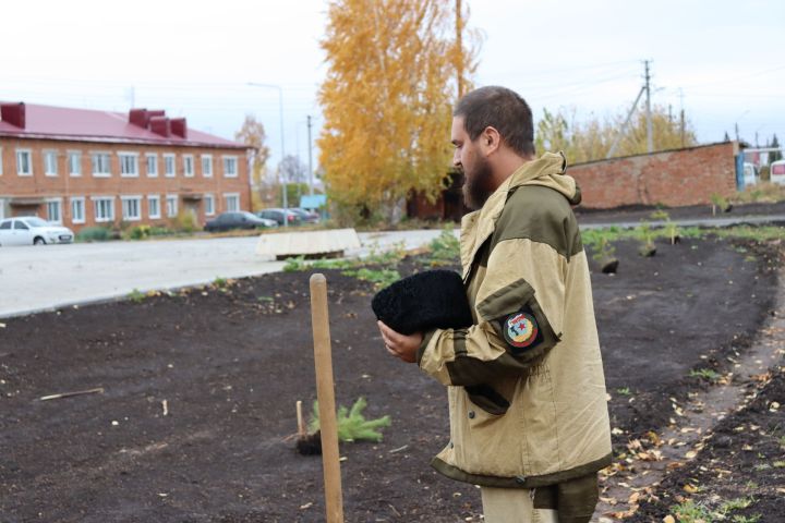 В новом сквере в Чистополе посадили около 70 молодых сосен