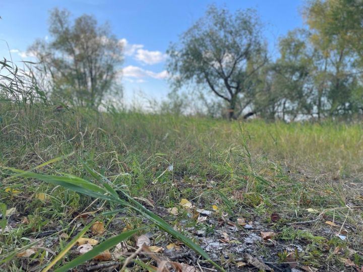 В Татарстане температура воздуха понизится до двух градусов тепла