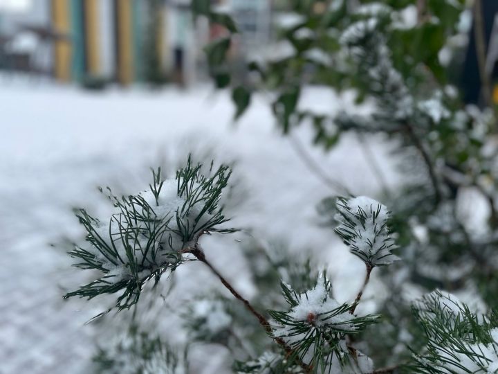 В Татарстане ожидается метель