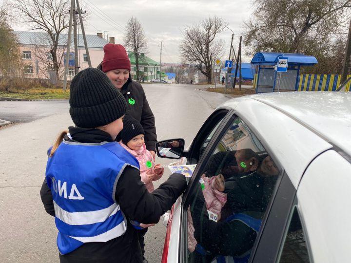 «Дорожный патруль»: дошкольники напомнили чистопольским водителям и пешеходам правила дорожного движения