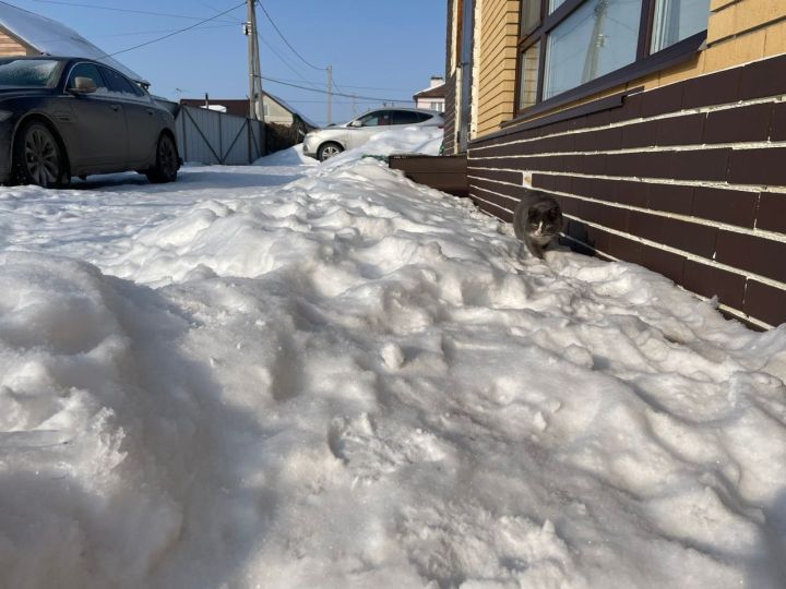 До 19 градусов мороза ожидается сегодня в Чистополе