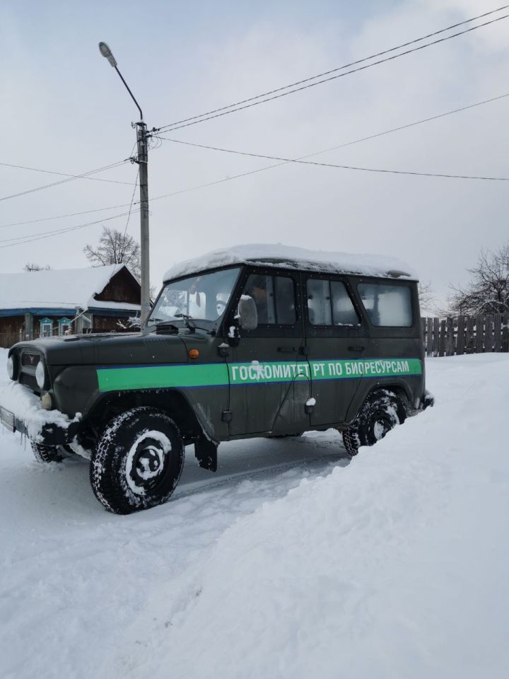 В Чистополе сотрудники Госкомитета РТ по биоресурсам очистили от снега двор одинокой пенсионерки