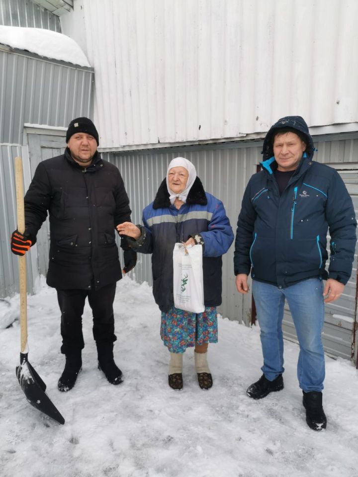 В Чистополе сотрудники Госкомитета РТ по биоресурсам очистили от снега двор одинокой пенсионерки