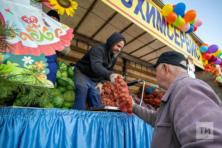 В РТ весенние сельскохозярмарки стартуют 18 марта