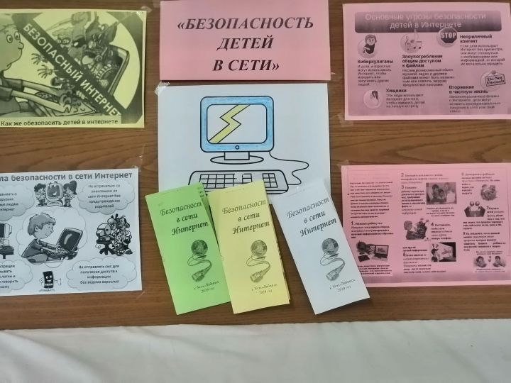 В чистопольской сельской школе прошел урок «Безопасность детей в сети Интернет»