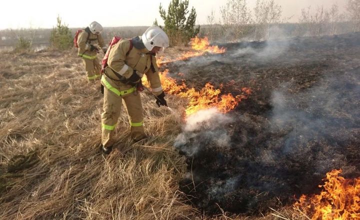 В РТ  начинается сезон массовых травяных палов