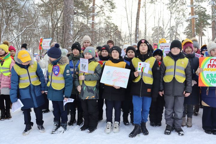 В день рождения отрядов ЮИД в Чистополе устроили праздник на свежем воздухе (фоторепортаж)