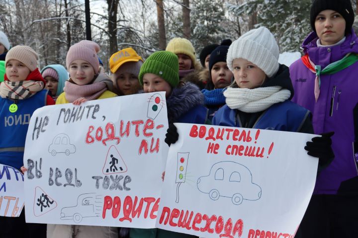 В день рождения отрядов ЮИД в Чистополе устроили праздник на свежем воздухе (фоторепортаж)