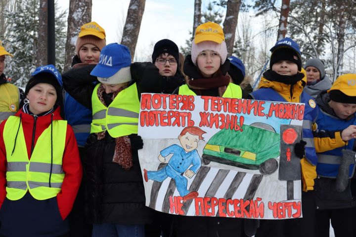 В день рождения отрядов ЮИД в Чистополе устроили праздник на свежем воздухе (фоторепортаж)