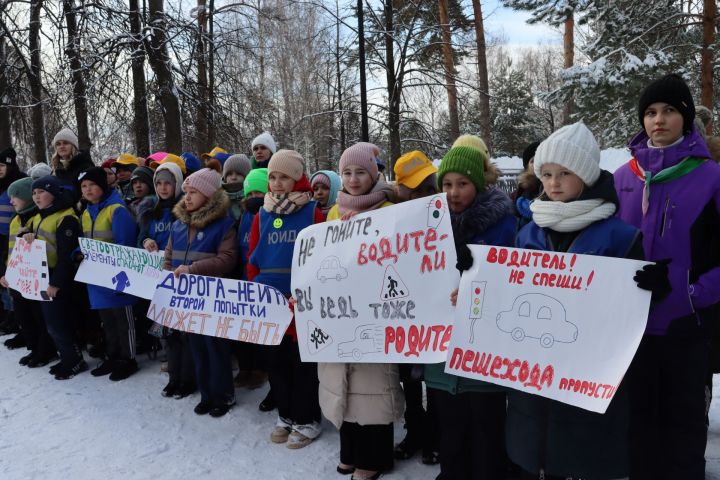 В день рождения отрядов ЮИД в Чистополе устроили праздник на свежем воздухе (фоторепортаж)