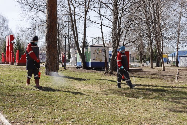 В Чистополе Скарятинский сад обработали от клещей