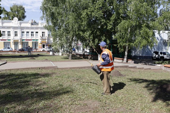 В Чистополе посадили яблоневый сад