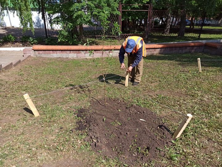 В Чистополе посадили яблоневый сад