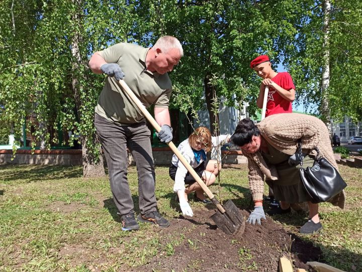 В Чистополе посадили яблоневый сад