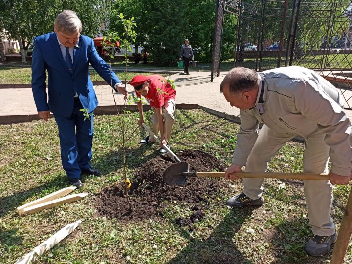 В Чистополе посадили яблоневый сад